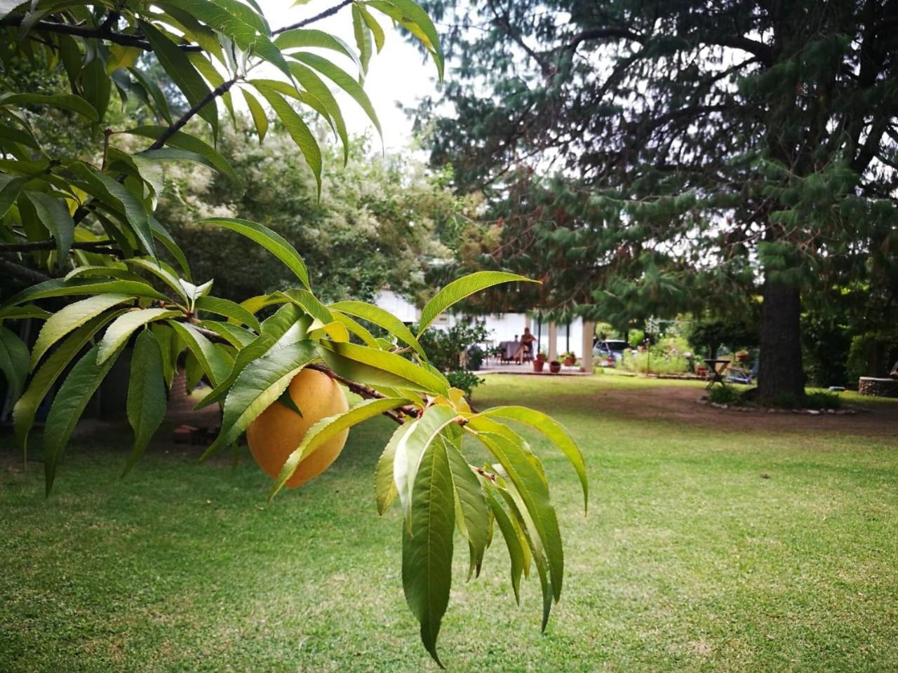 El Mana Villa Bialet Massé Exterior foto